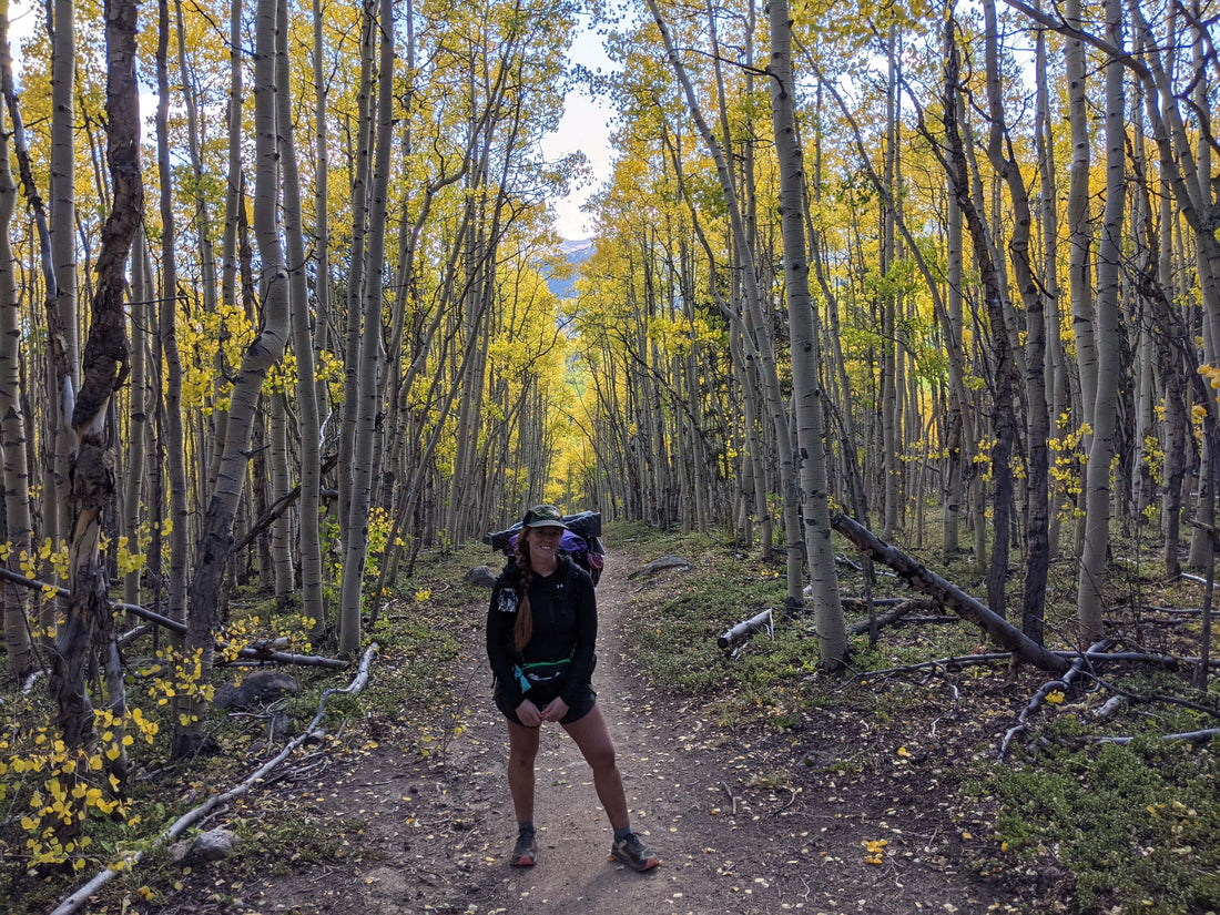 Backpacker hiking on forest trail with tall aspen trees and yellow autumn leaves