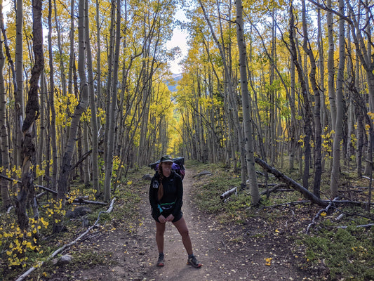 Backpacker hiking on forest trail with tall aspen trees and yellow autumn leaves